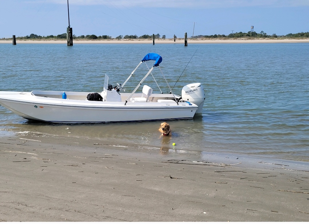 Captain_Susan_Bavaro_boat-pic-w-dog